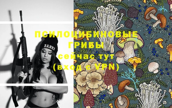 гидропоника Бугульма