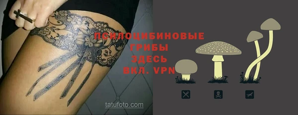 ПСИЛОЦИБИНОВЫЕ ГРИБЫ Бронницы