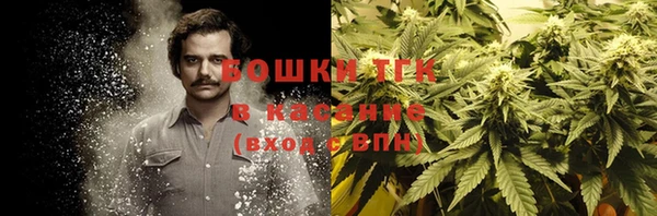 гидропоника Бугульма