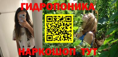 каннабис Гусев