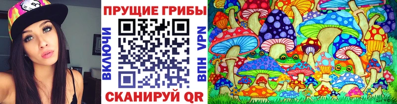 Галлюциногенные грибы MAGIC MUSHROOMS  дарнет шоп  Минеральные Воды 