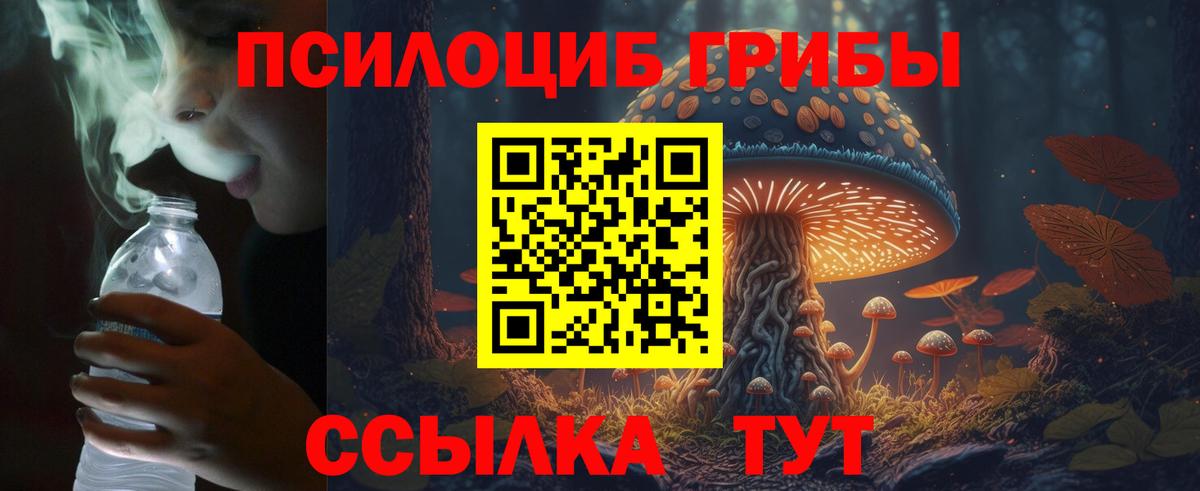 Галлюциногенные грибы Psilocybine cubensis  Вход с VPN  Минеральные Воды 